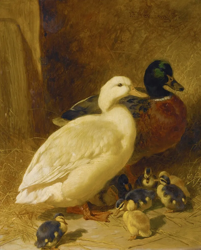 Ducks And Ducklings by John Frederick Herring Snr. - Canvas Print