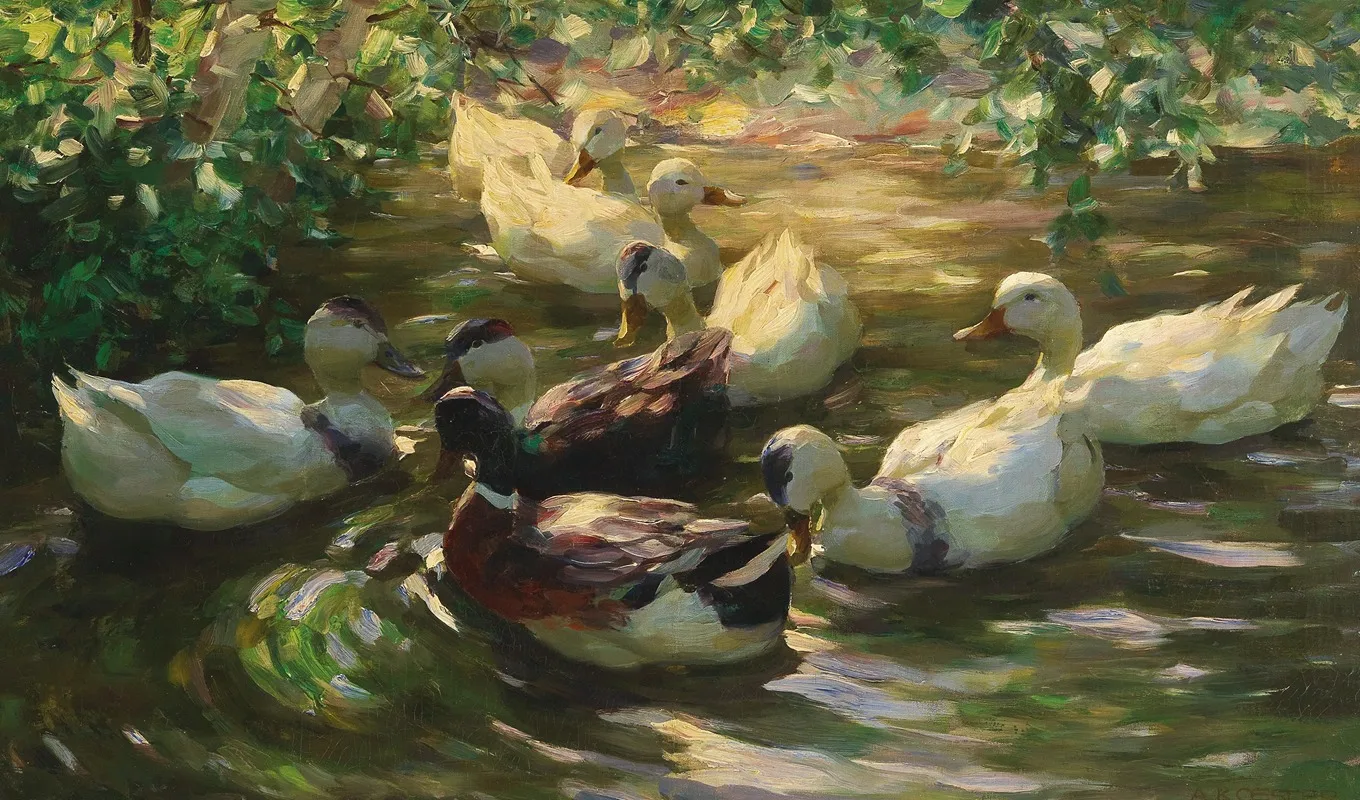 Ducks On A Pond by Alexander Koester - Canvas Print
