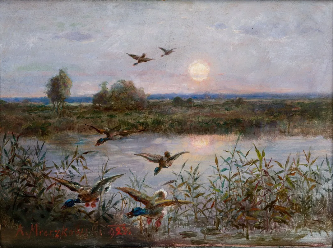 Ducks Over Marshes