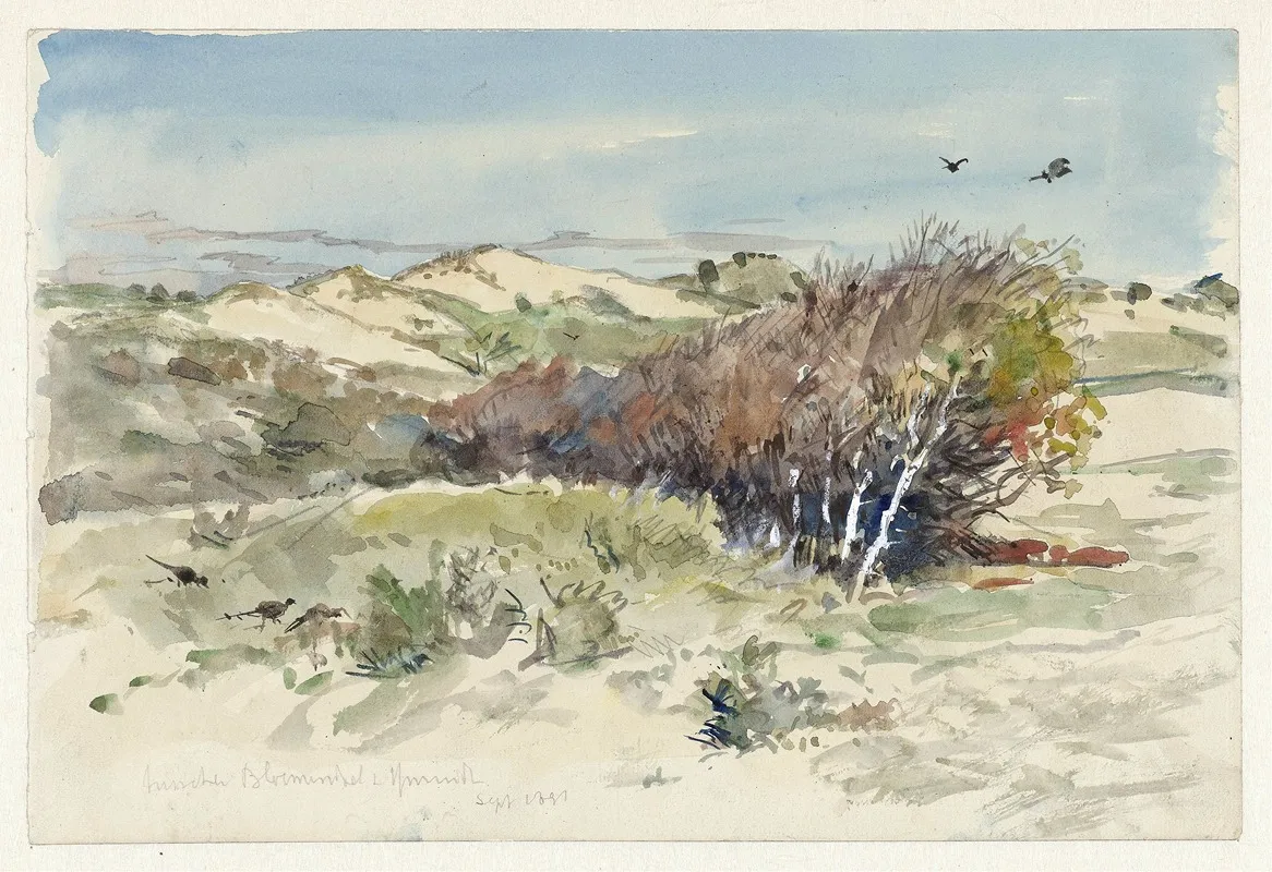 Duinlandschap Tussen Bloemendaal En Ijmuiden by Jan Hoynck van Papendrecht - Canvas Print