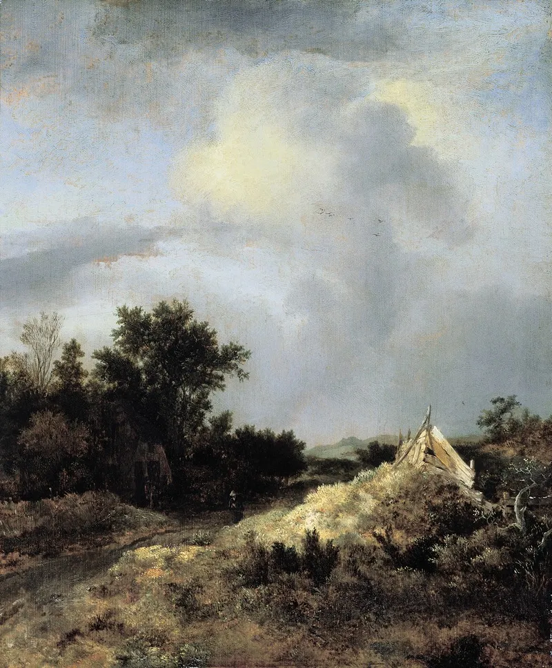 Dune Landscape With Fence