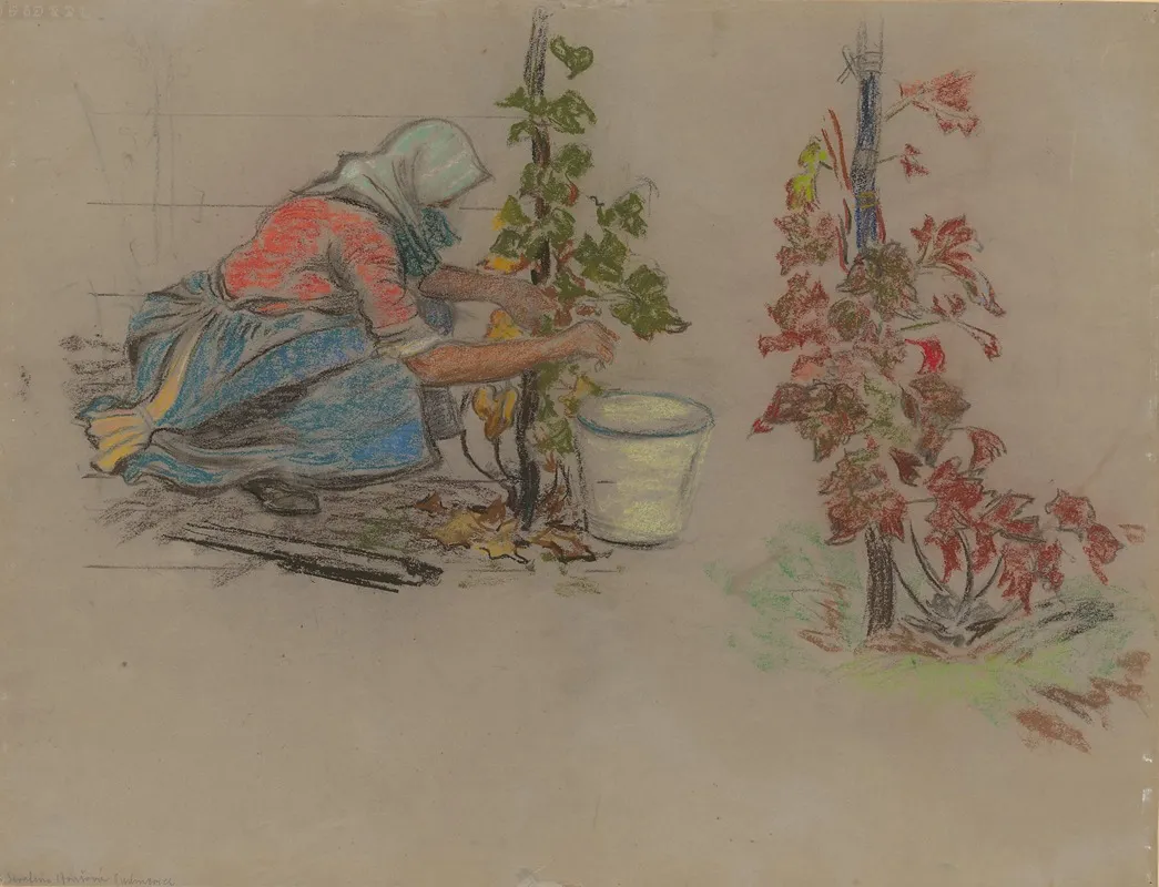 During Harvest