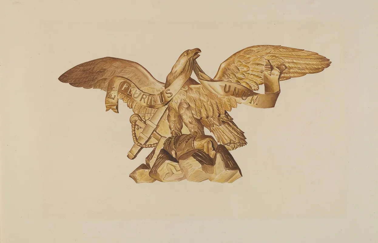 Eagle From Uss Enterprise