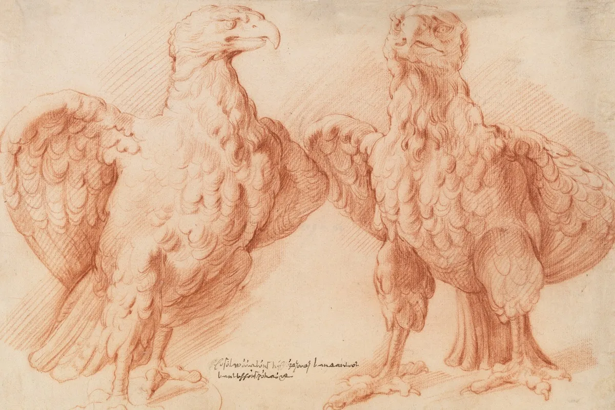 Eagle Two Studies Of An Antique Sculpture Front View Half Turned To The Right And Front View Half Turned To The Left by Willem Panneels - Canvas Print