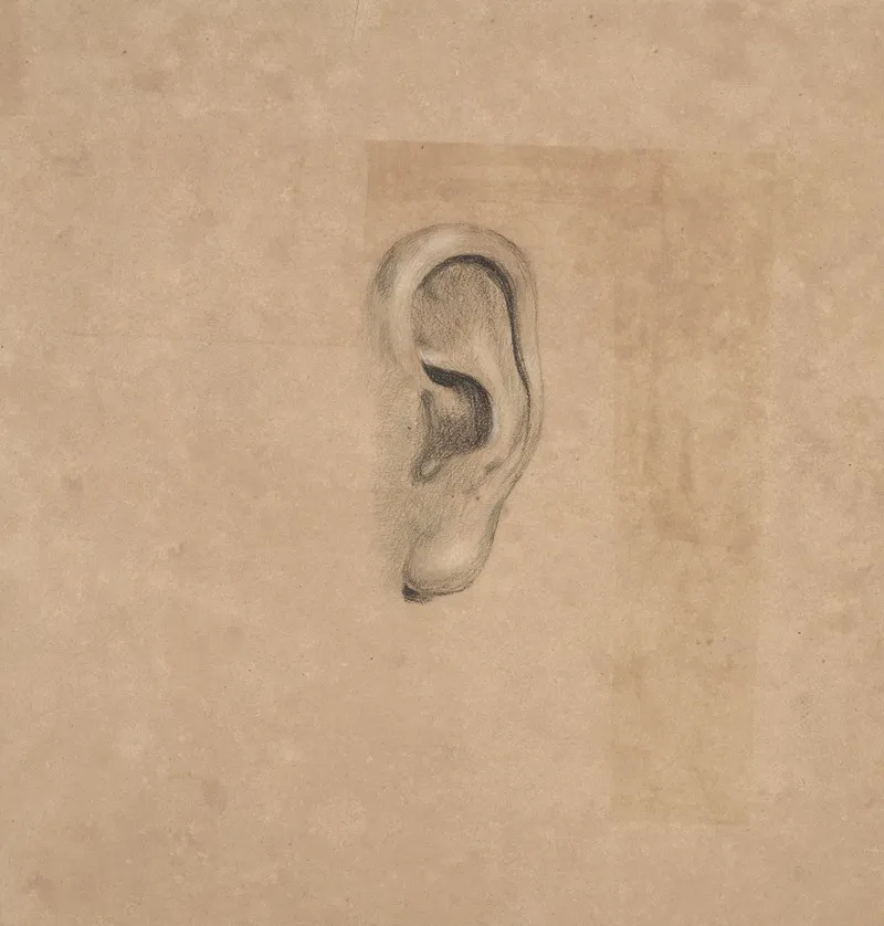 Ear Study No 2