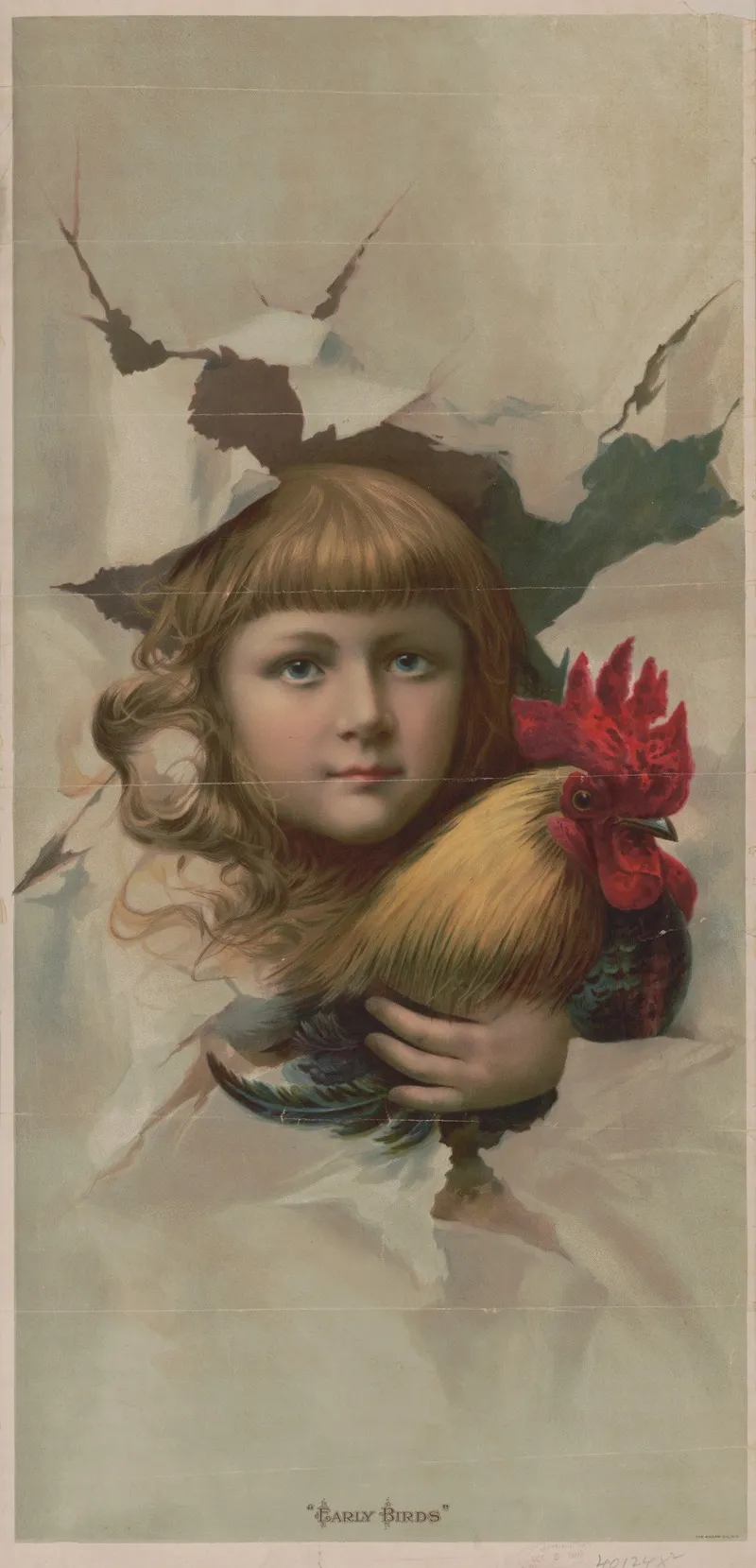 Early Birds by Knapp &amp; Co. - Canvas Print