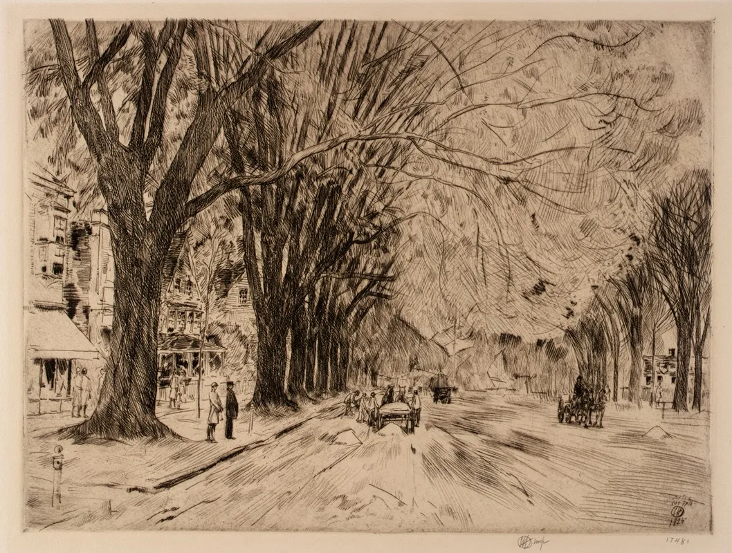 Easthampton Elms In May by Childe Hassam - Canvas Print