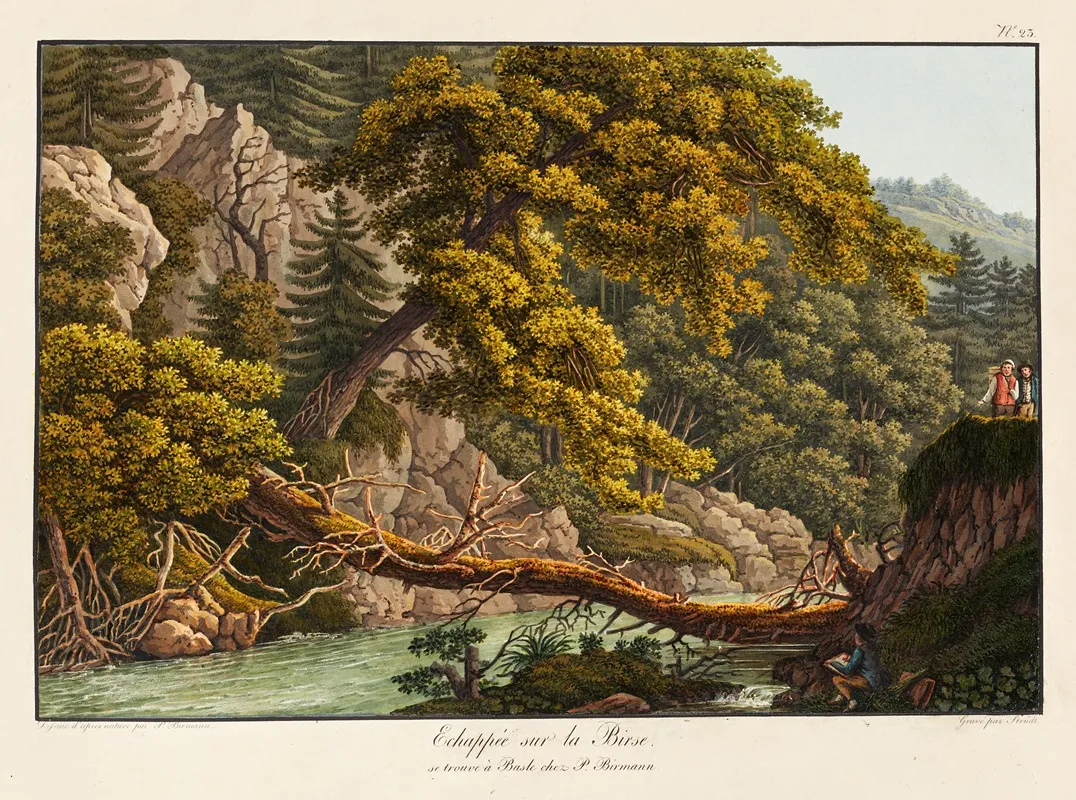 Echappe Sur La Birse by Peter Birmann - Canvas Print