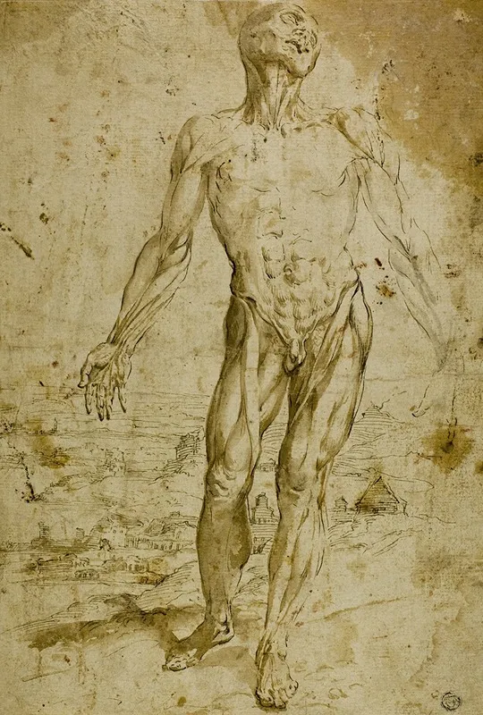 Ecorche Before Landscape