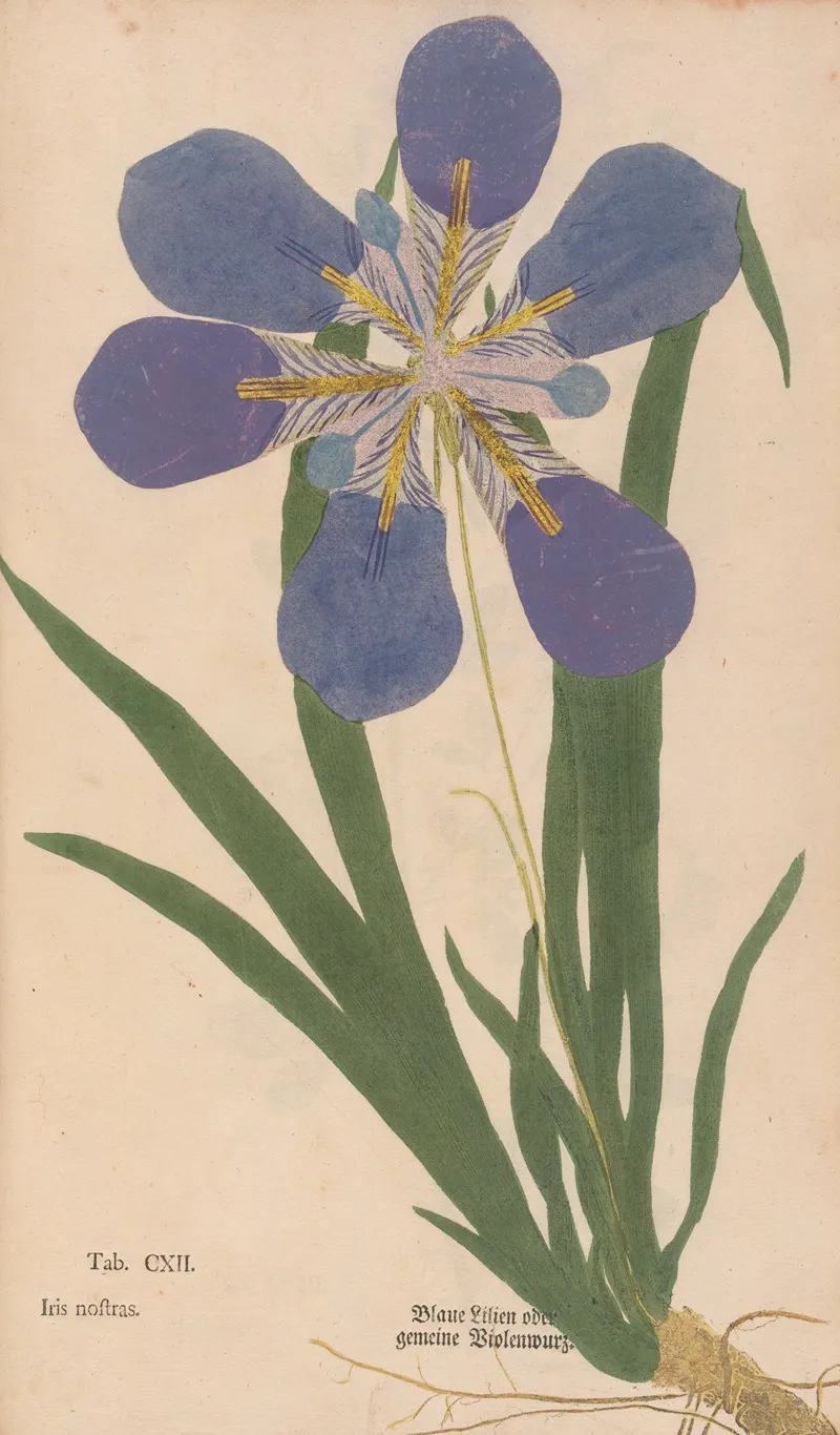 Ectypa Vegetabilium Pl 112