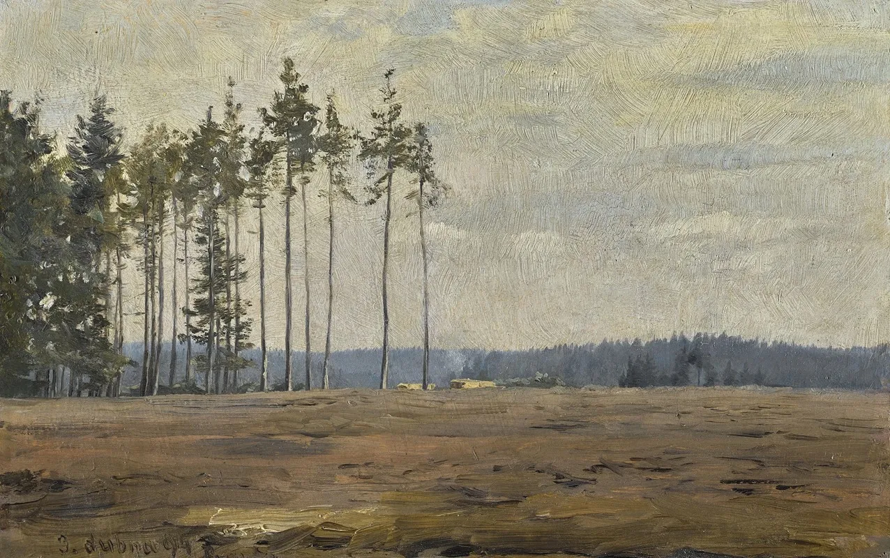 Edge Of A Forest 2