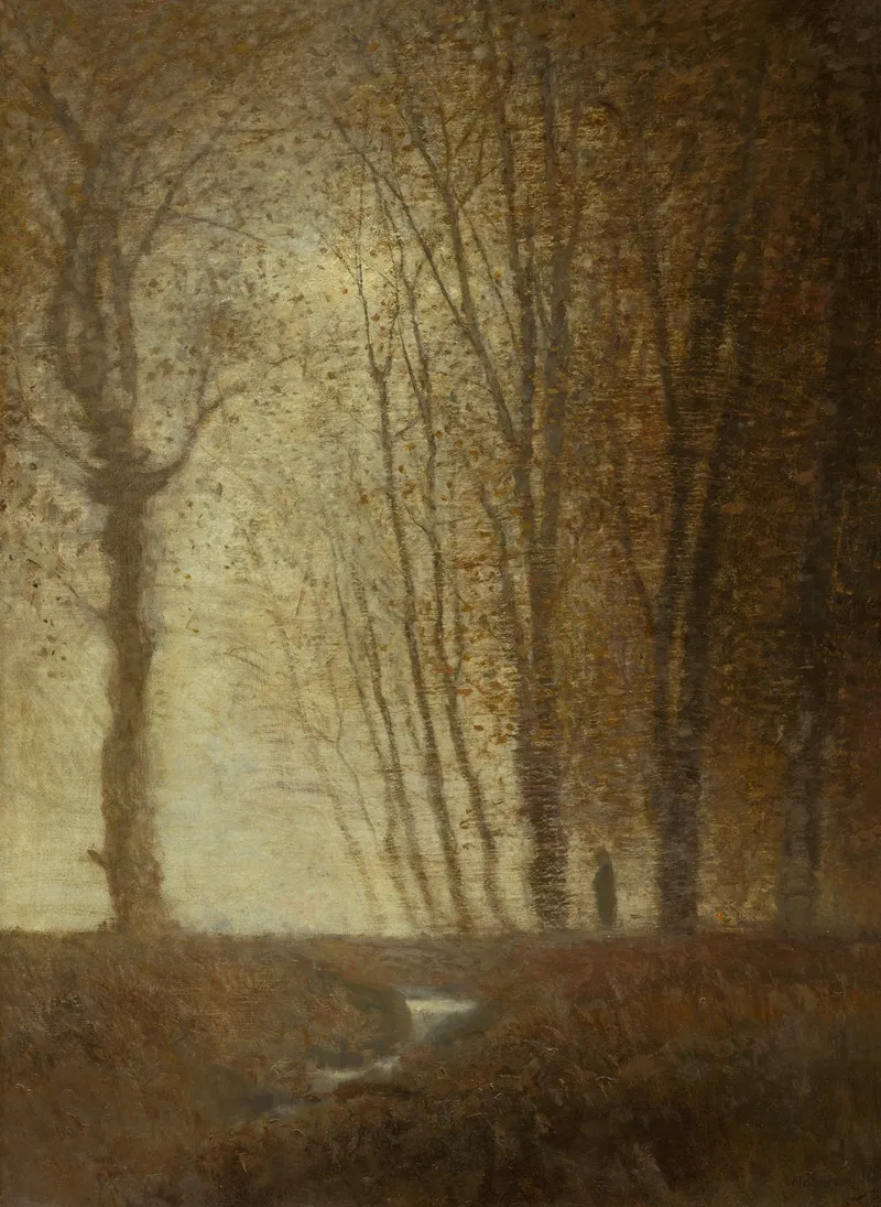 Edge Of The Forest In The Moonlight