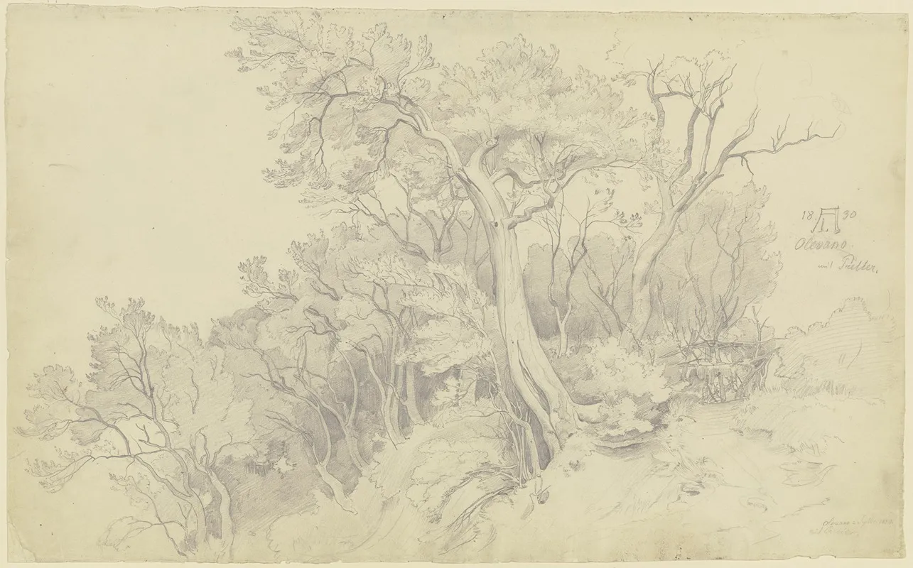 Edge Of The Forest Near Olevano by August Lucas - Canvas Print