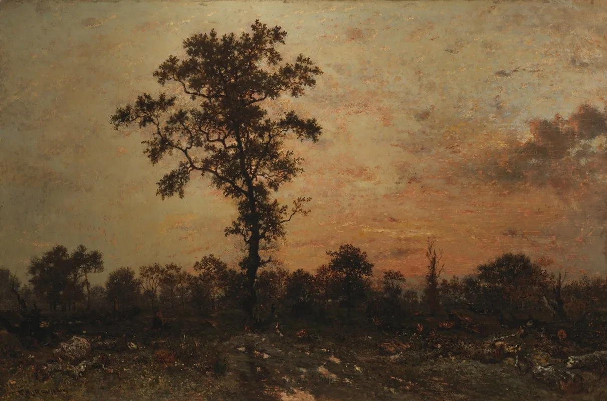 Edge Of The Forest Sun Setting