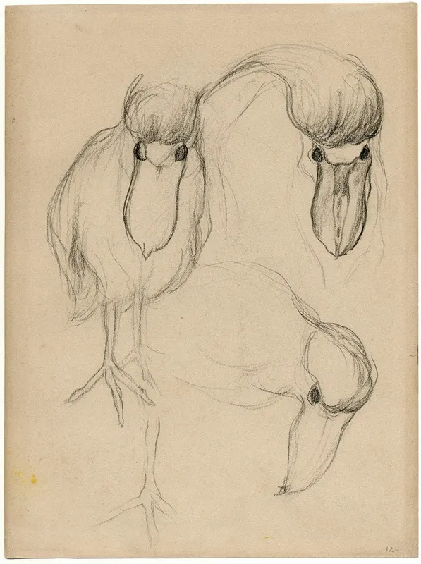 Een Dodo