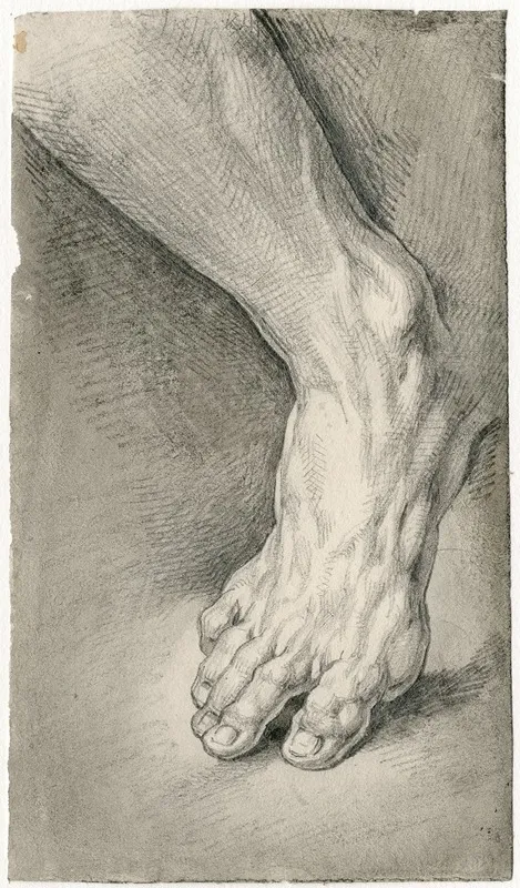 Een Rechtervoet by David Humbert de Superville - Canvas Print