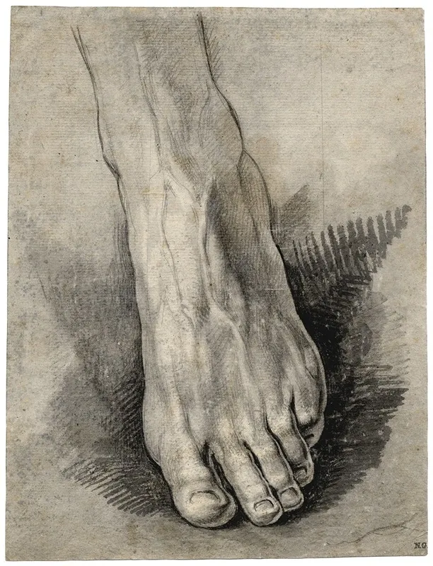 Een Voet Met Opgeheven Hiel by David Humbert de Superville - Canvas Print