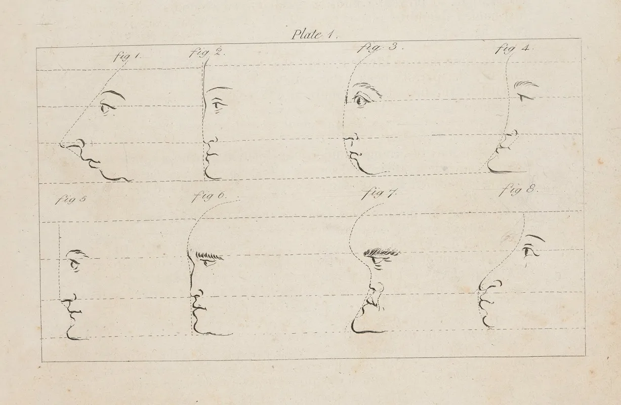 Eight Studies Of Facial Profiles