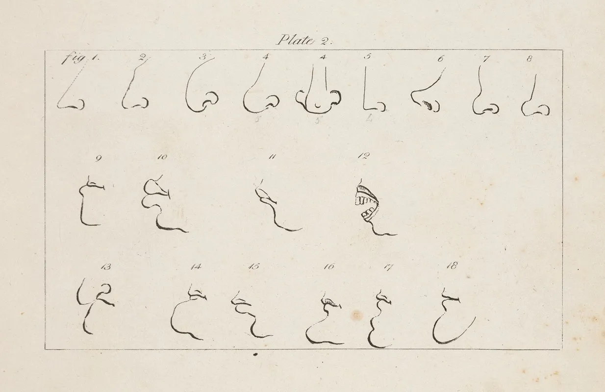 Eighteen Studies Of Facial Features