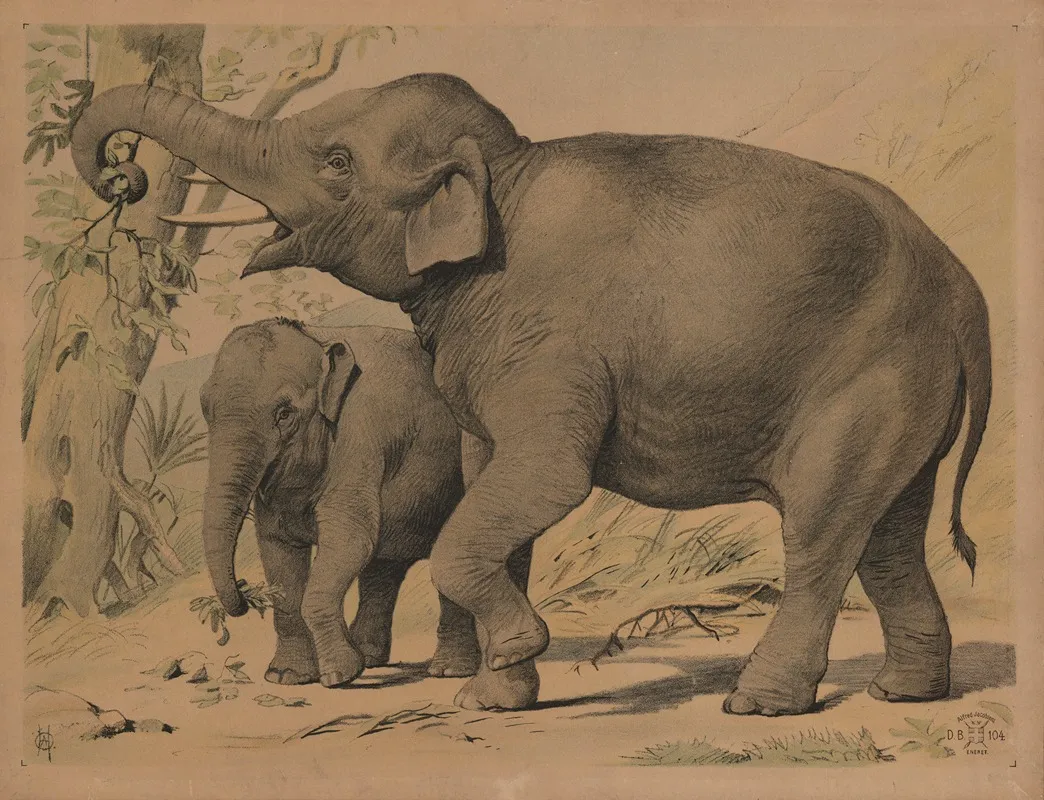 Elefant 2