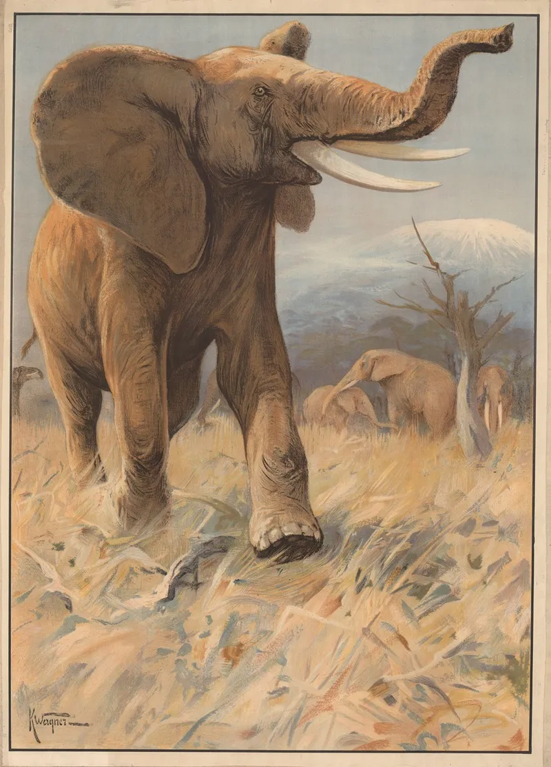 Elefant
