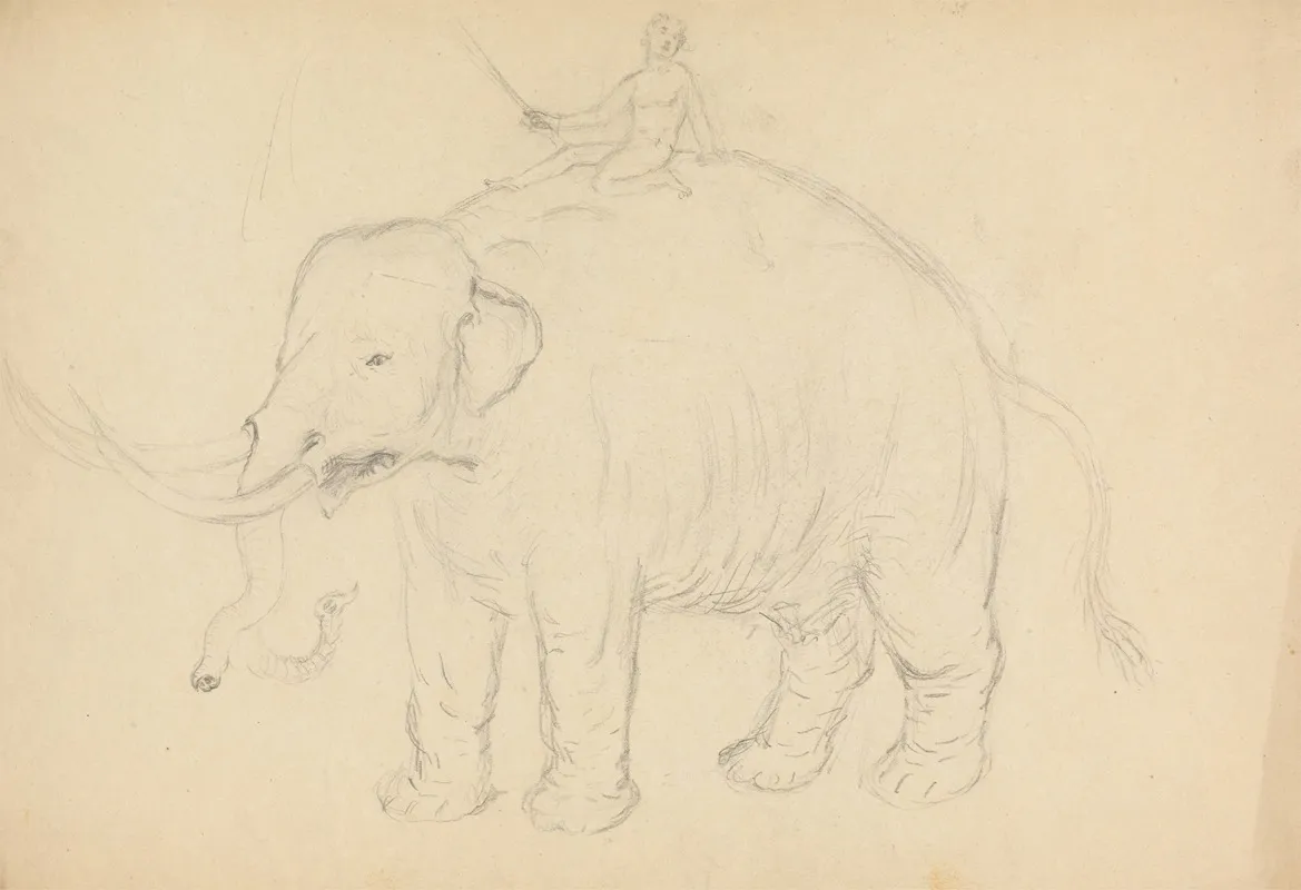Elephant With Rider 2