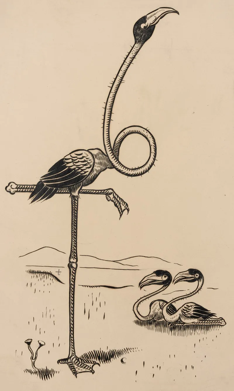 Eleven Comic Strip Frames Of Flamingo Shaping Figures With Its Long Neck Pl 8 by Franklin Morris Howarth - Canvas Print