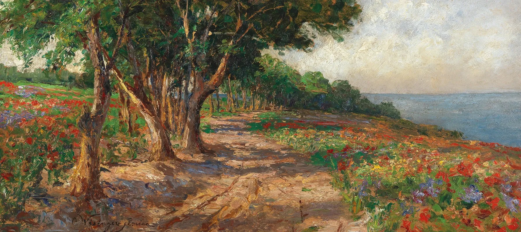 Elm Lined Promenade In Euxinograd