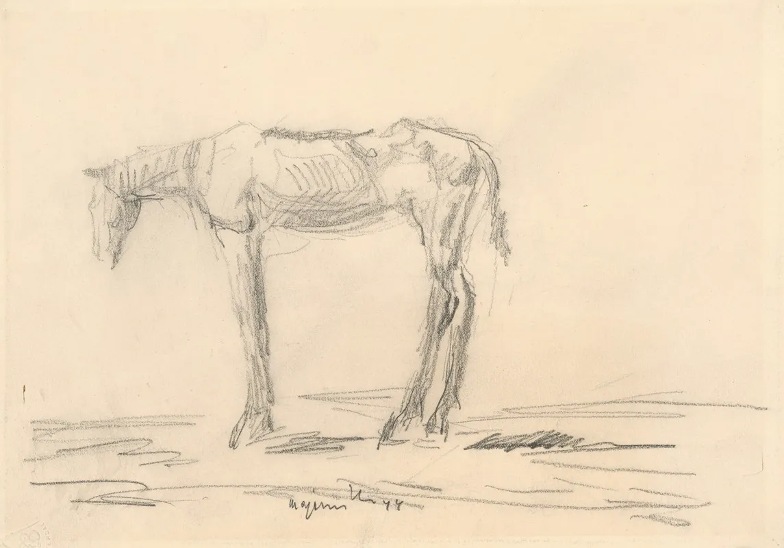 Emaciated Horse 2