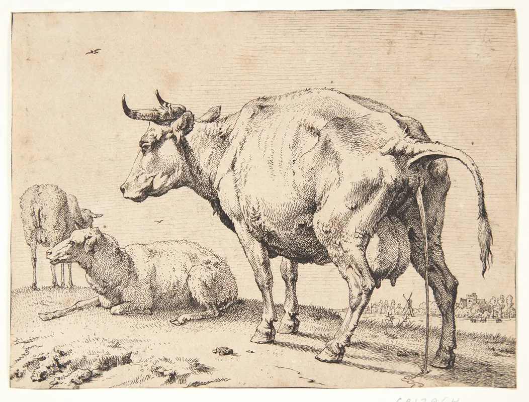 En Pissende Ko by Paulus Potter - Canvas Print