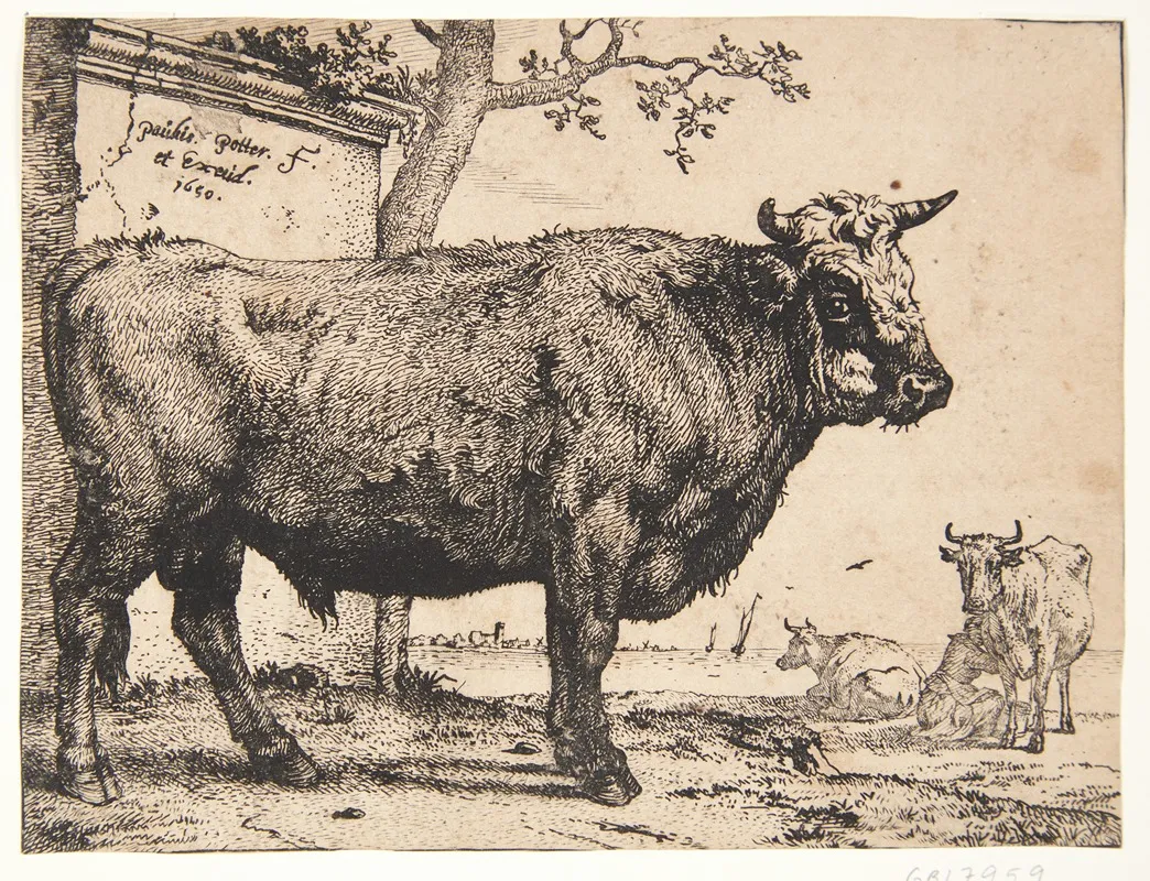 En Tyr by Paulus Potter - Canvas Print