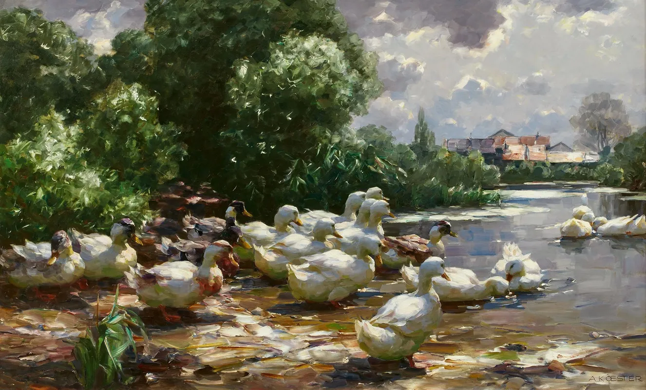 Enten Am Dorfweiher 2