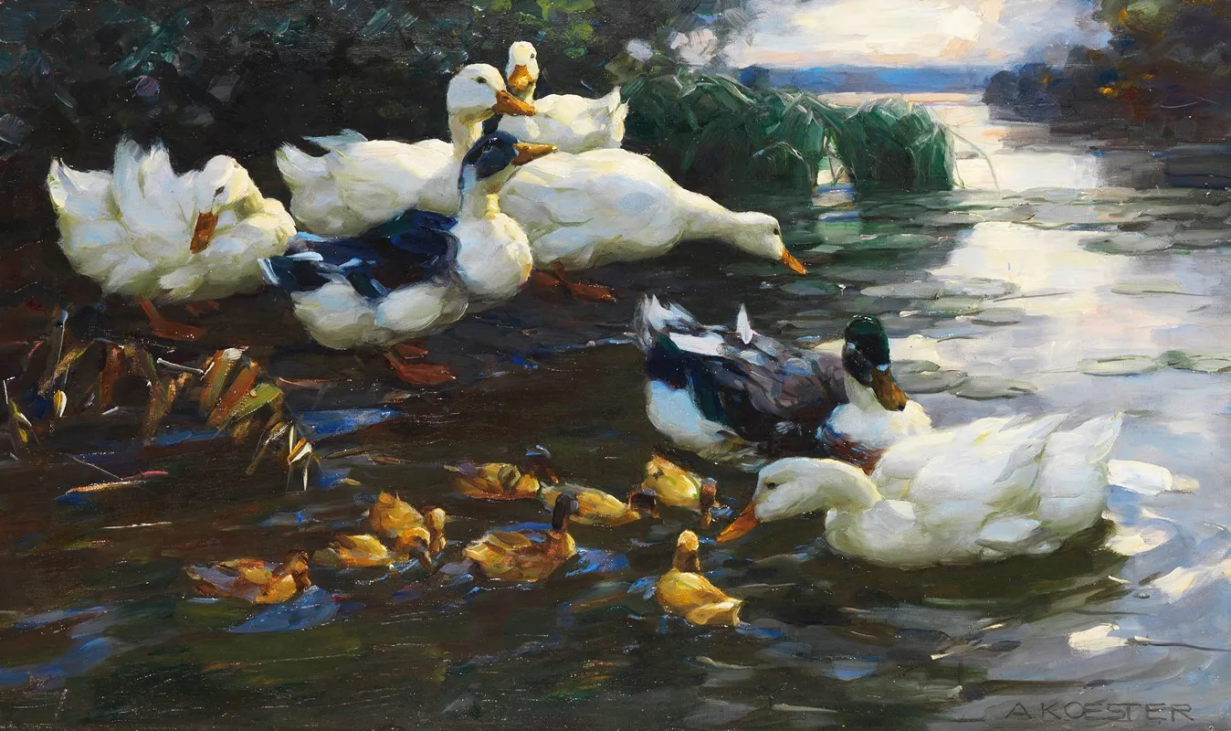 Enten Mit Kuken Im Wasser by Alexander Koester - Canvas Print