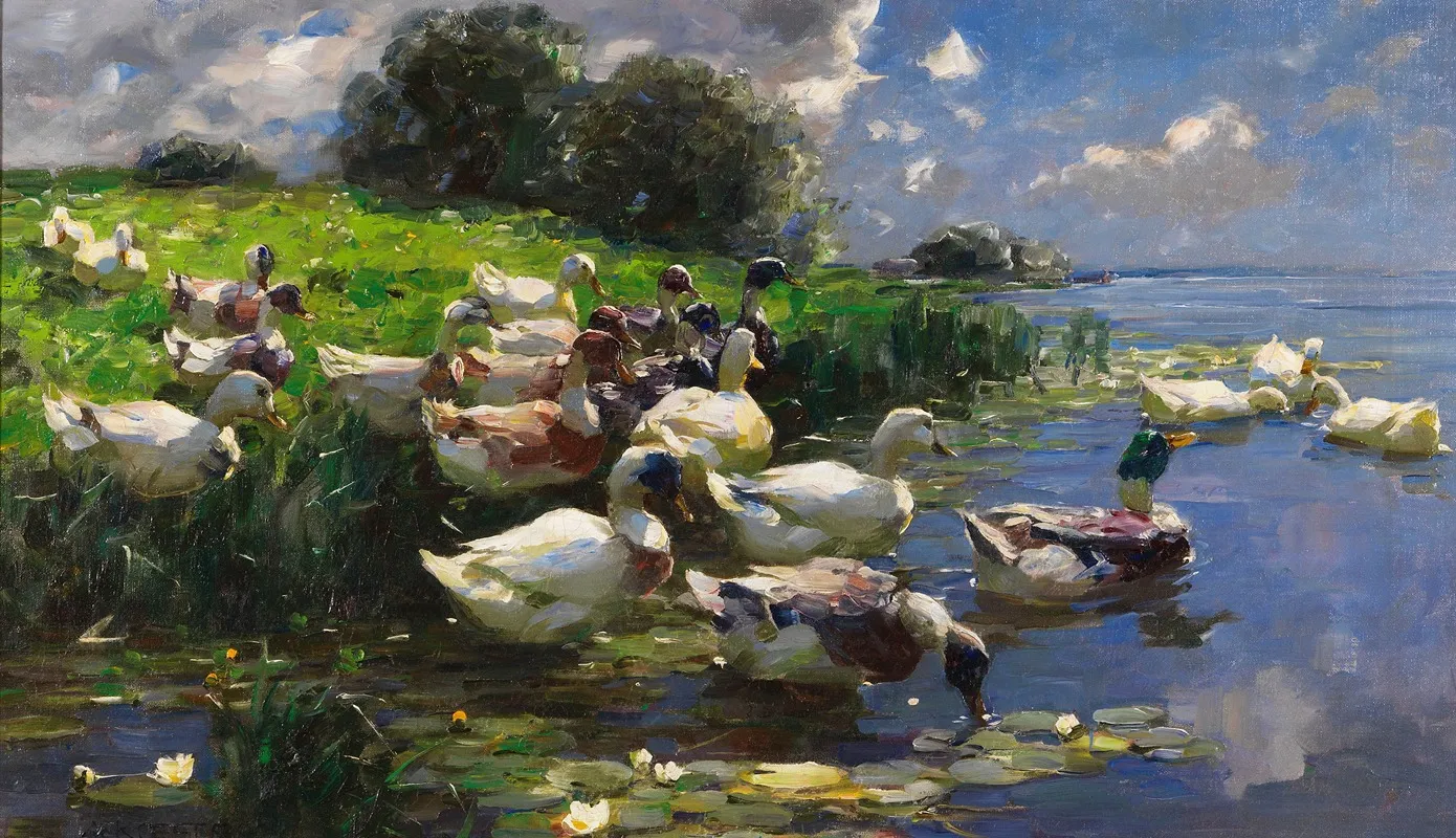 Enten Seelandschaft by Alexander Koester - Canvas Print