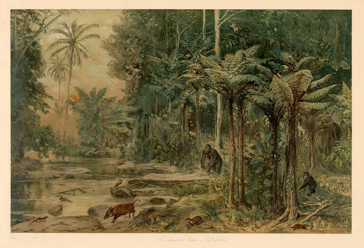Equatorial Rainforest In West Africa