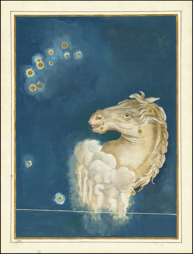 Equuleus