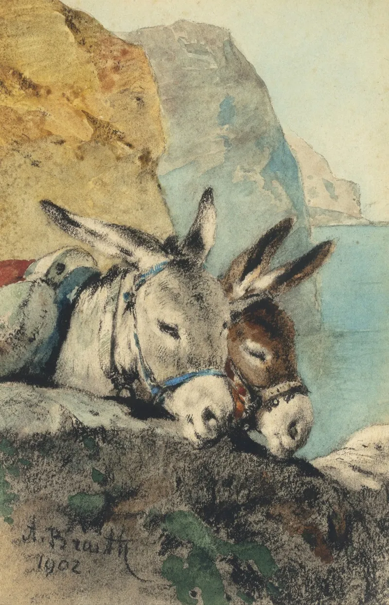 Eselpaar Grus Vom Gardasee