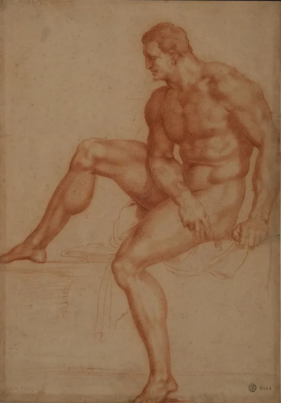 Estudio Para Hercules by Baccio Bandinelli - Canvas Print
