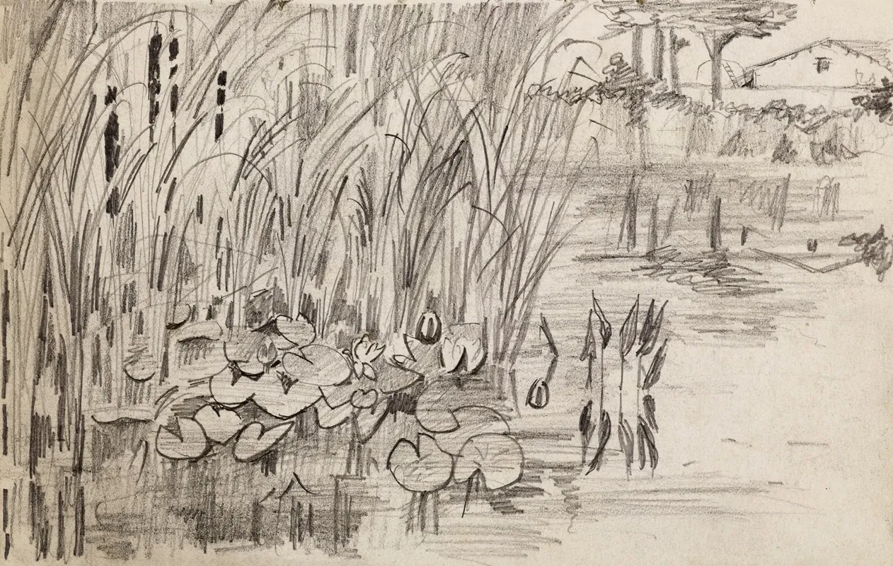 Etang Avec Des Nenuphars Et Des Roseaux