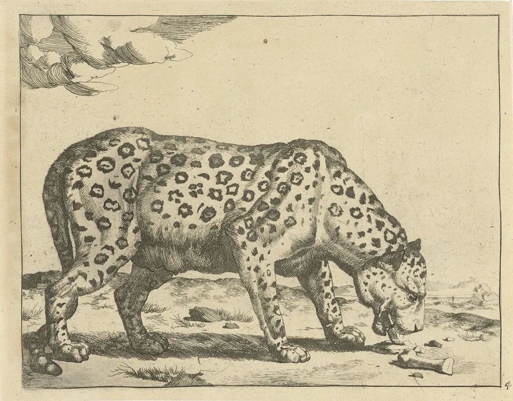 Etend Luipaard Luipaarden