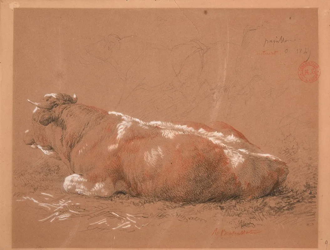 Etude De Boeuf Couche 2