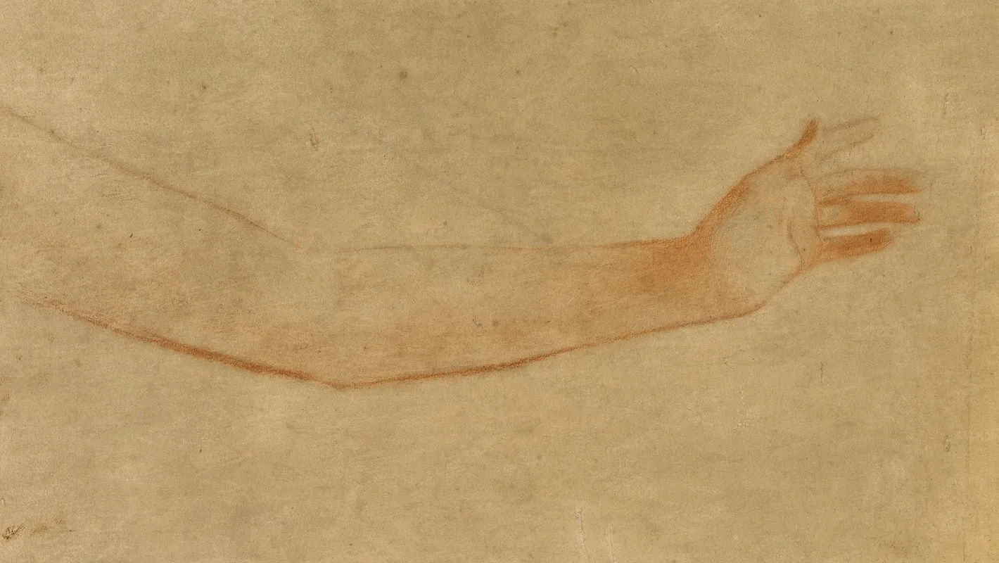 Etude De Bras