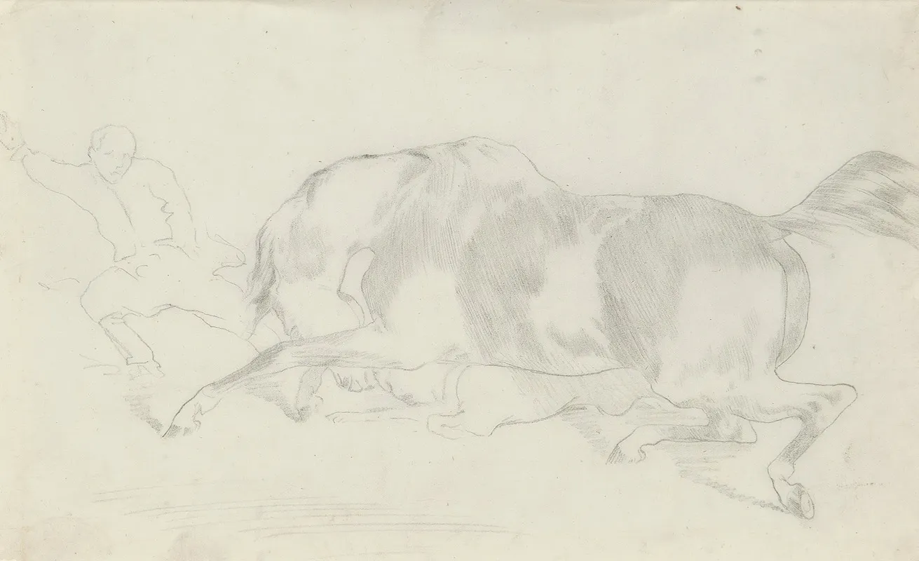 Etude De Cheval 2