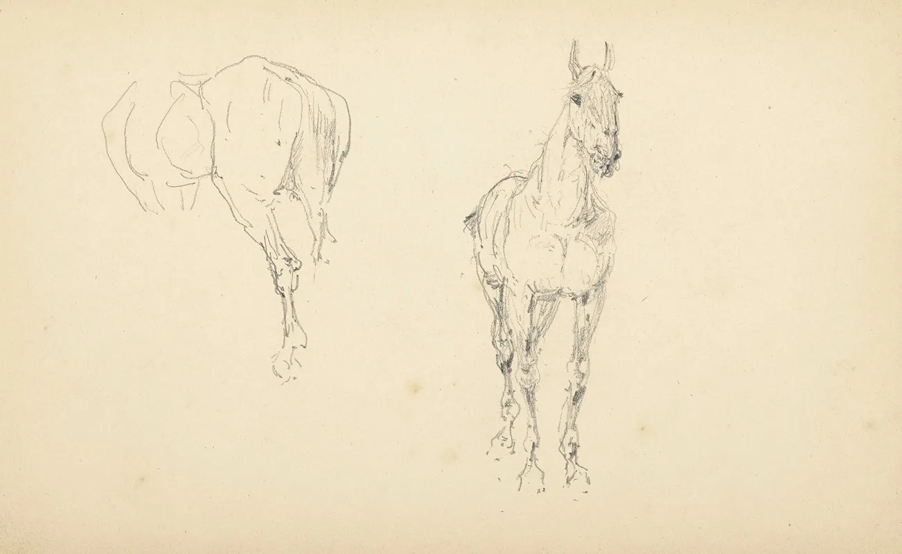 Etude De Chevaux 2