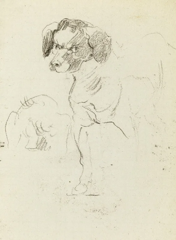 Etude De Chien