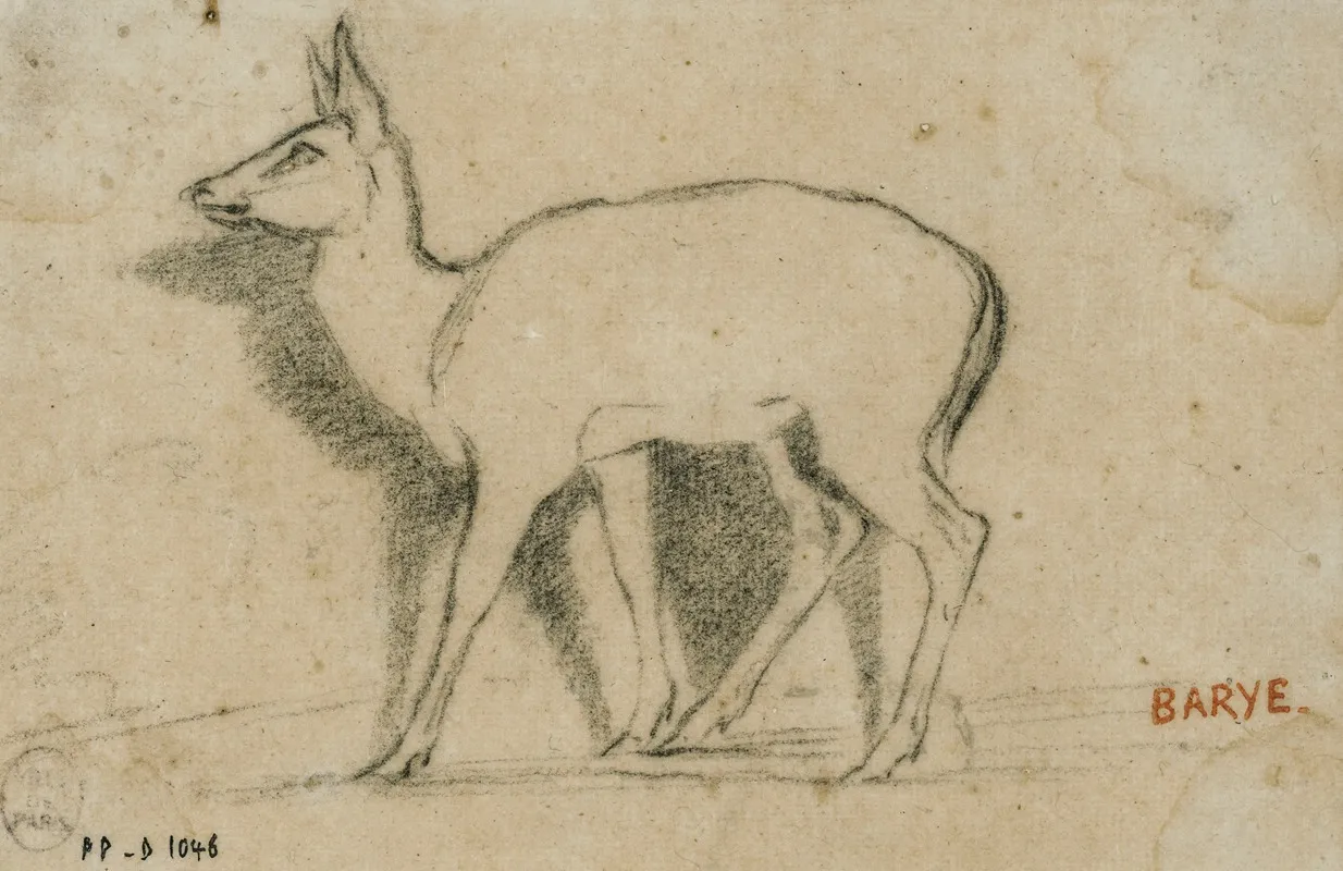 Etude De Gazelle Debout A Gauche