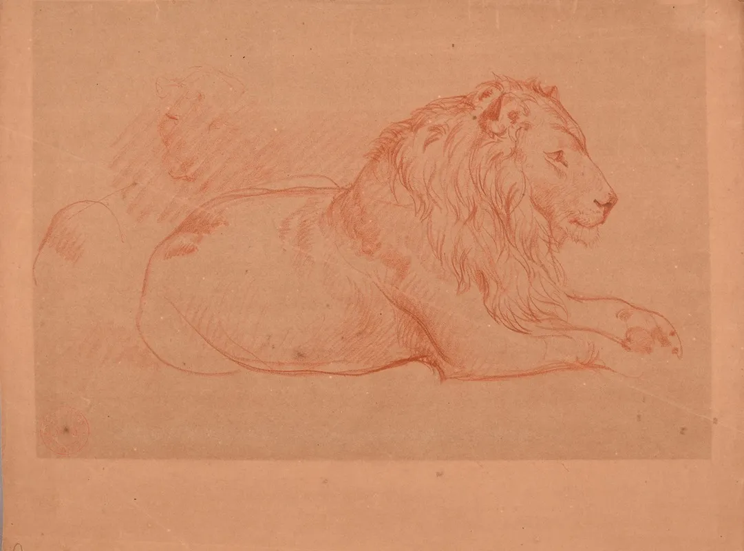 Etude De Lion Couche 2