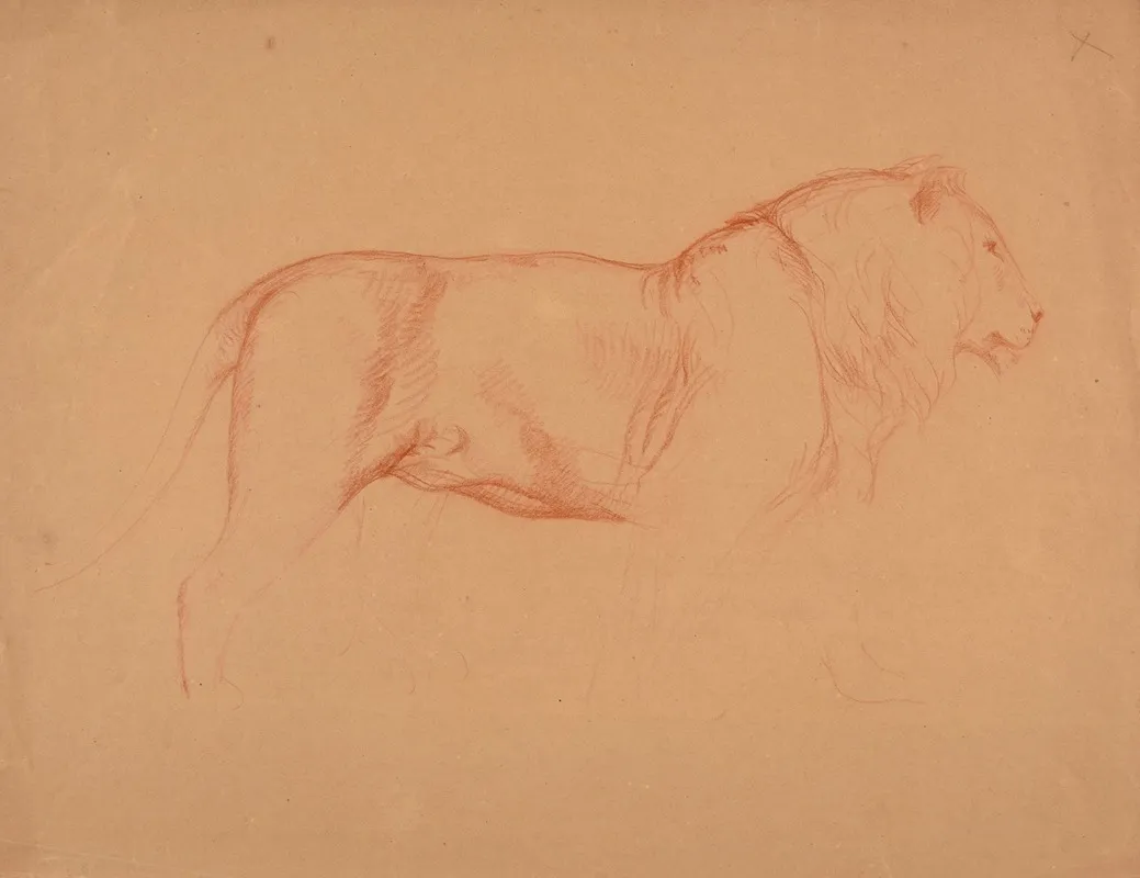 Etude De Lion