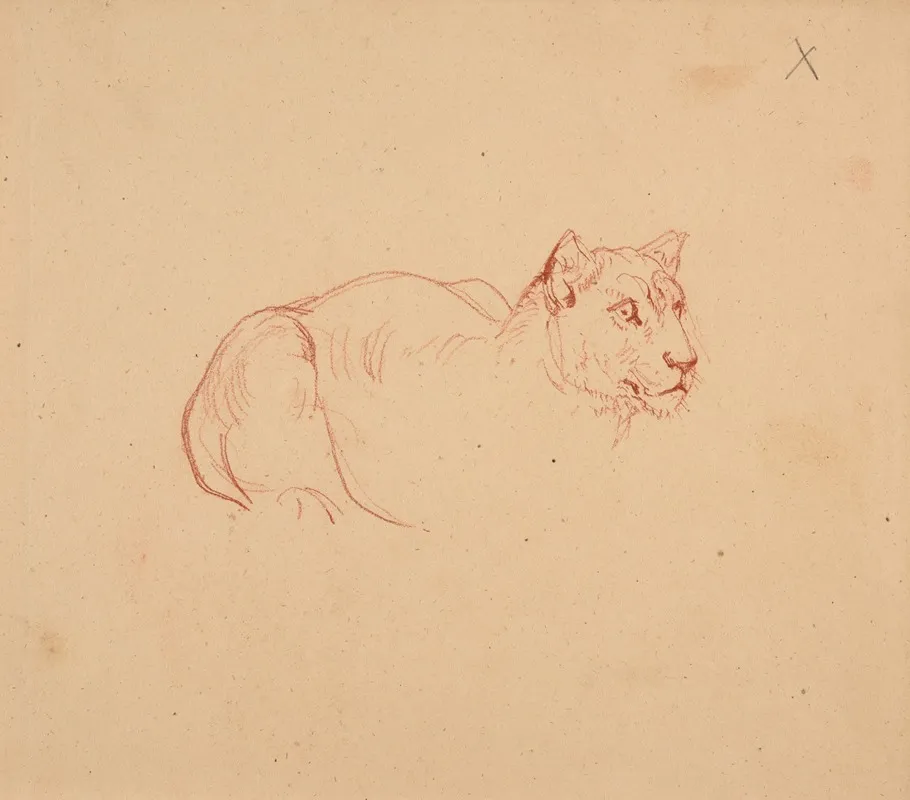 Etude De Lionne 2