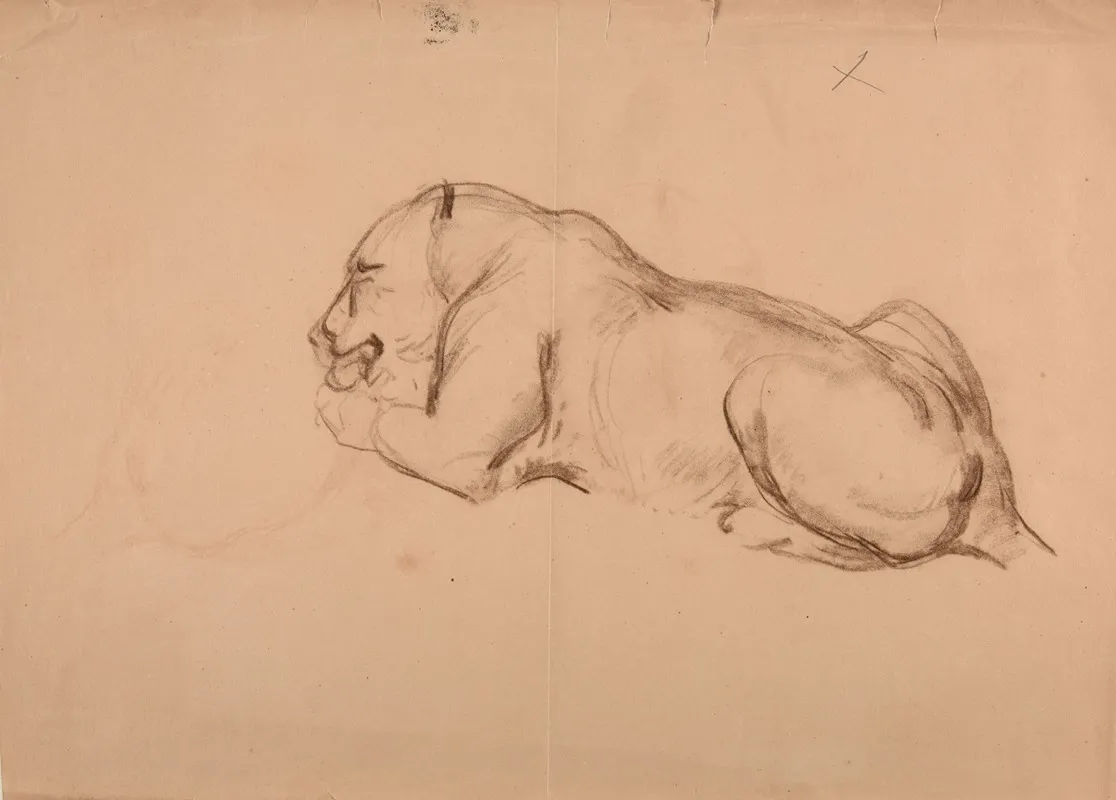 Etude De Lionne